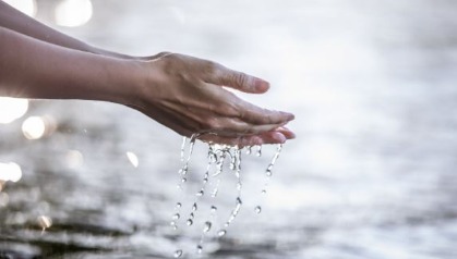 高压蒸气灭菌为什么通常是121℃和134℃？